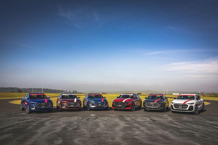 AUDI DRIVING EXPERIENCE 2025.JPG