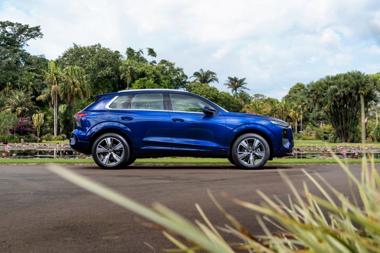 Q3 SUV_3.jpg
