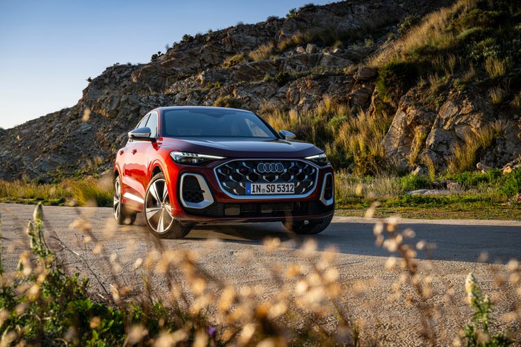 SQ5 (3)...jpg