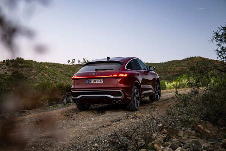 SQ5 (4)...jpg