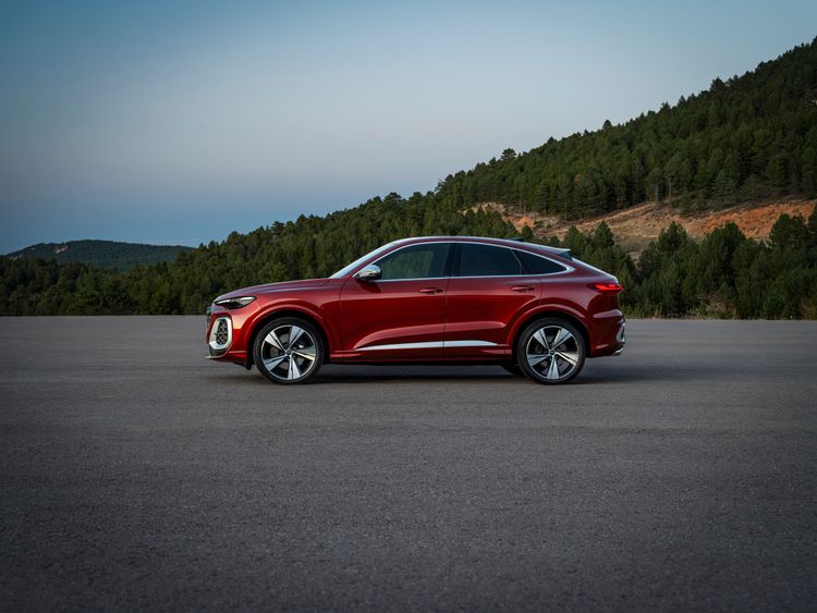 SQ5 (6)...jpg